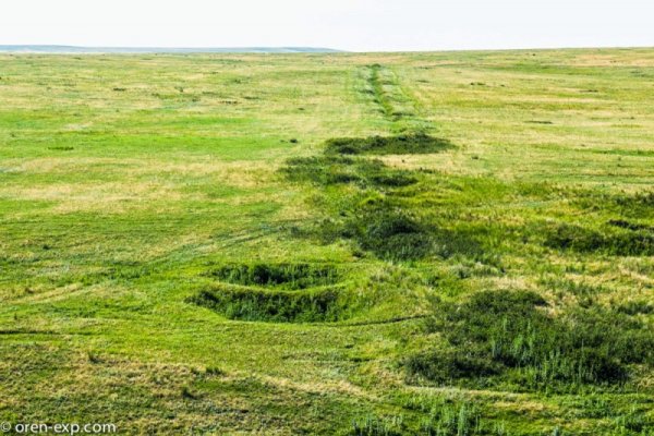 Кракен актуальная ссылка тор