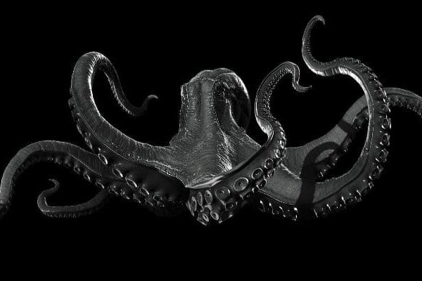 Kraken 19 at