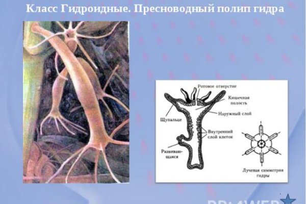 Кракен тор ссылка сегодня