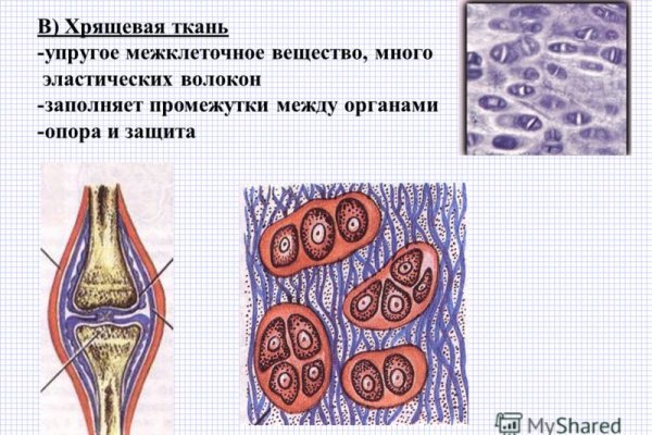 Ссылка кракен зеркало тор