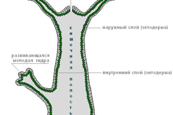 Картинка кракен маркетплейс