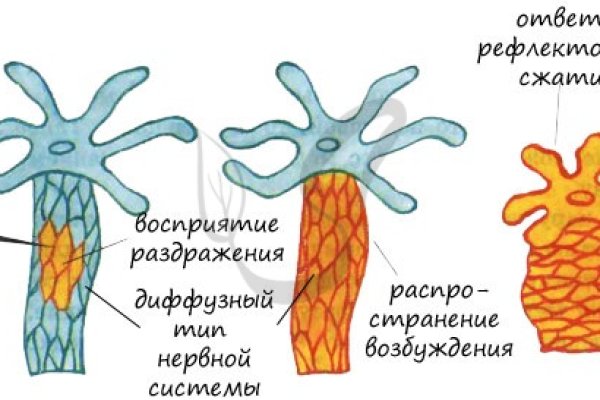 Где найти ссылку кракен